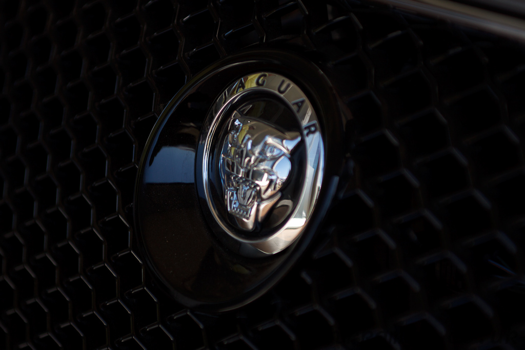 Grille detail